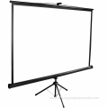 Portable Fast Fold Standard Tripod budget Screen